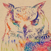 zen-owl