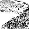 zen-owl2